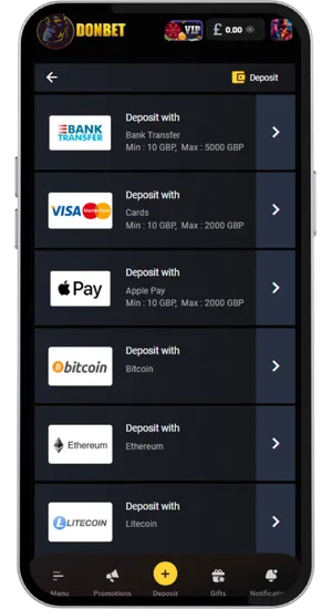 Casino deposit screen showing available payment methods to fund account and open bonuses