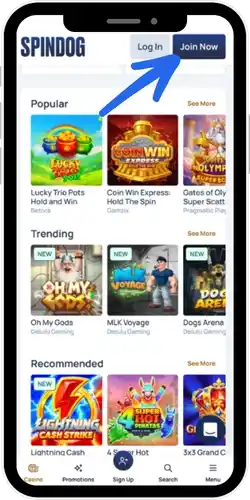 Fill in your details at Spindog Casino UK