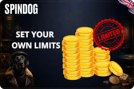 Spindog Casino responsible gaming tools